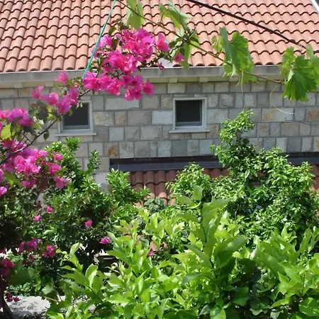 Azure - One Bedroom Romana